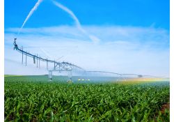 Center Pivot Irrigation